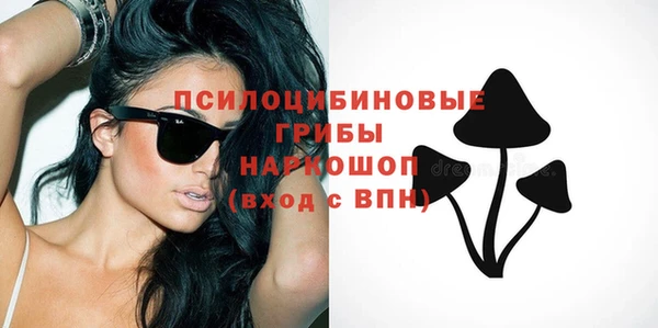 дмт Заводоуковск