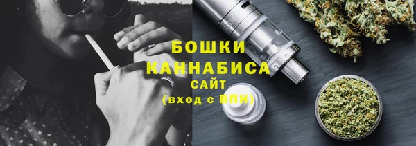 дмт Елабуга