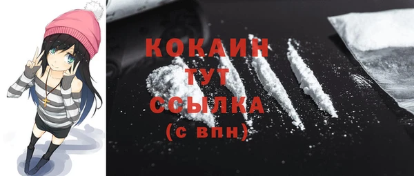 дмт Ельня