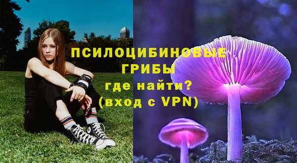 дмт Елабуга