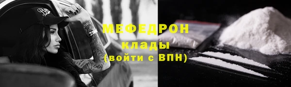 дмт Ельня