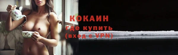 дмт Ельня