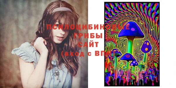 дмт Ельня