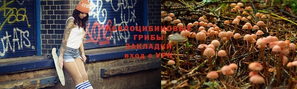 дмт Заводоуковск