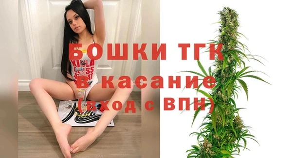 дмт Ельня