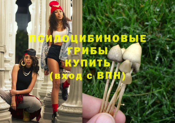 дмт Елабуга
