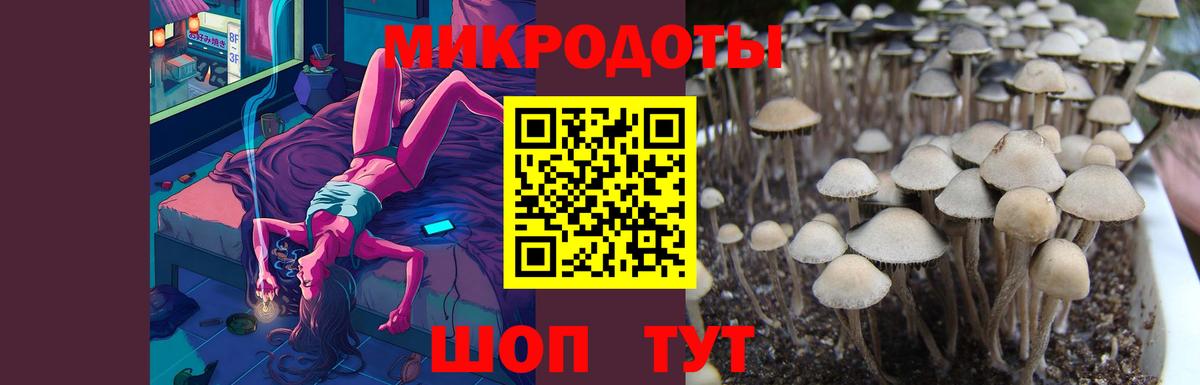 Галлюциногенные грибы мицелий  Галлюциногенные грибы Psilocybine cubensis  Назрань  Вход с VPN 